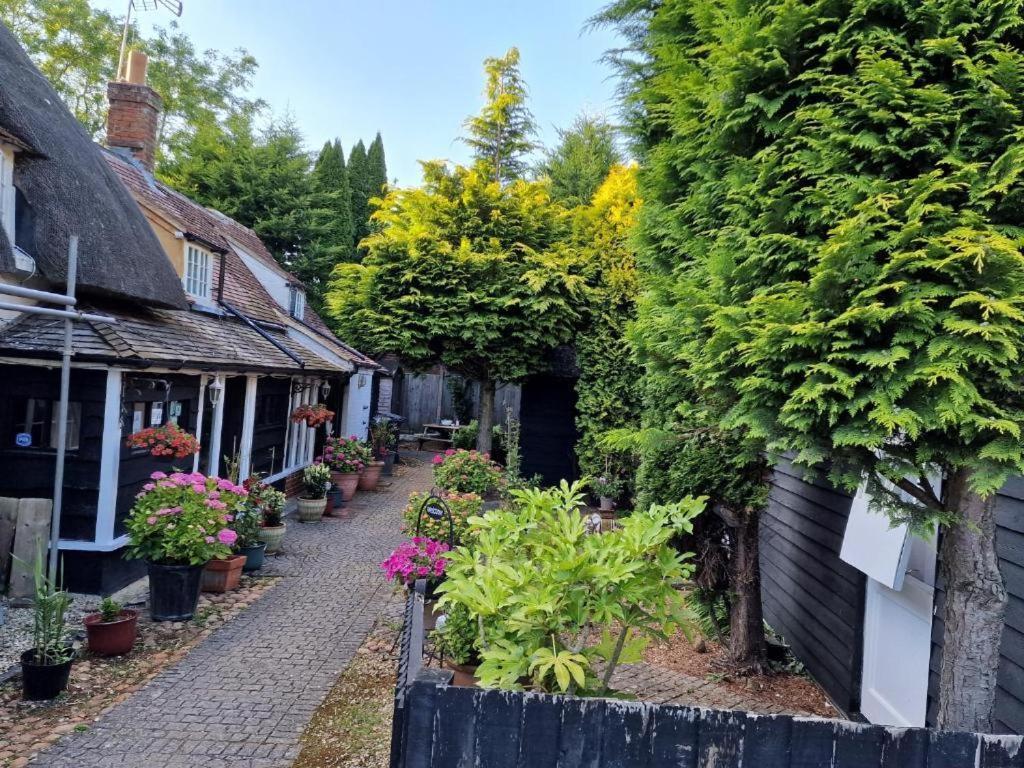 Bed and Breakfast Abingplough House à Abingdon-on-Thames Extérieur photo