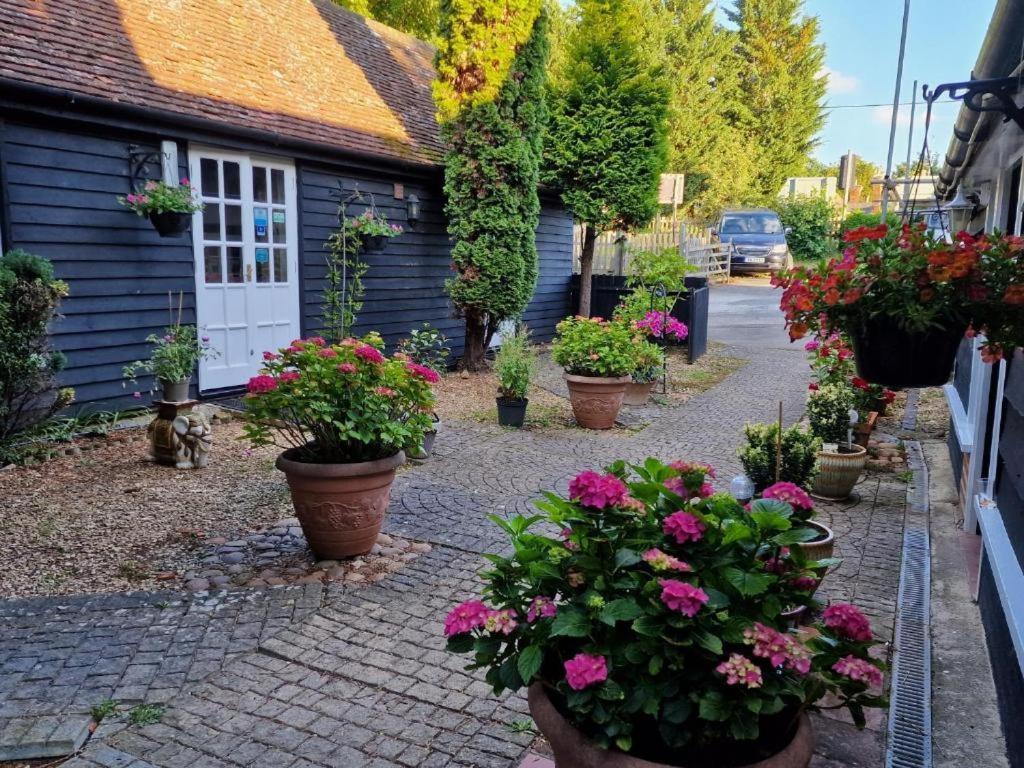 Bed and Breakfast Abingplough House à Abingdon-on-Thames Extérieur photo