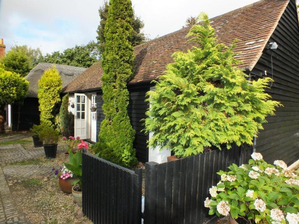 Bed and Breakfast Abingplough House à Abingdon-on-Thames Extérieur photo